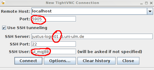 tightvnc login window