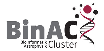 BinAC Logo RGB.jpg