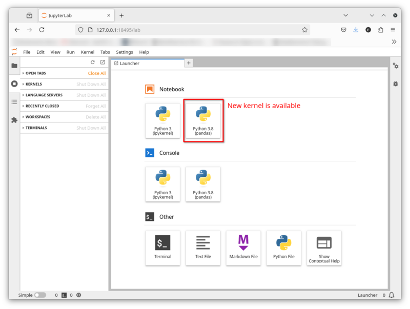 Binac jupyterlab new kernel.png