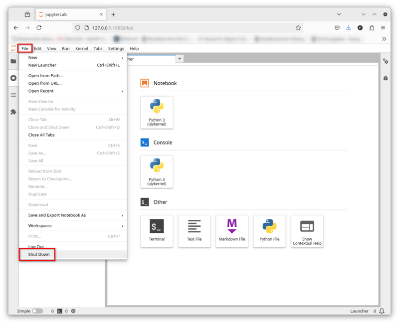 Binac jupyterlab browser shutdown.png