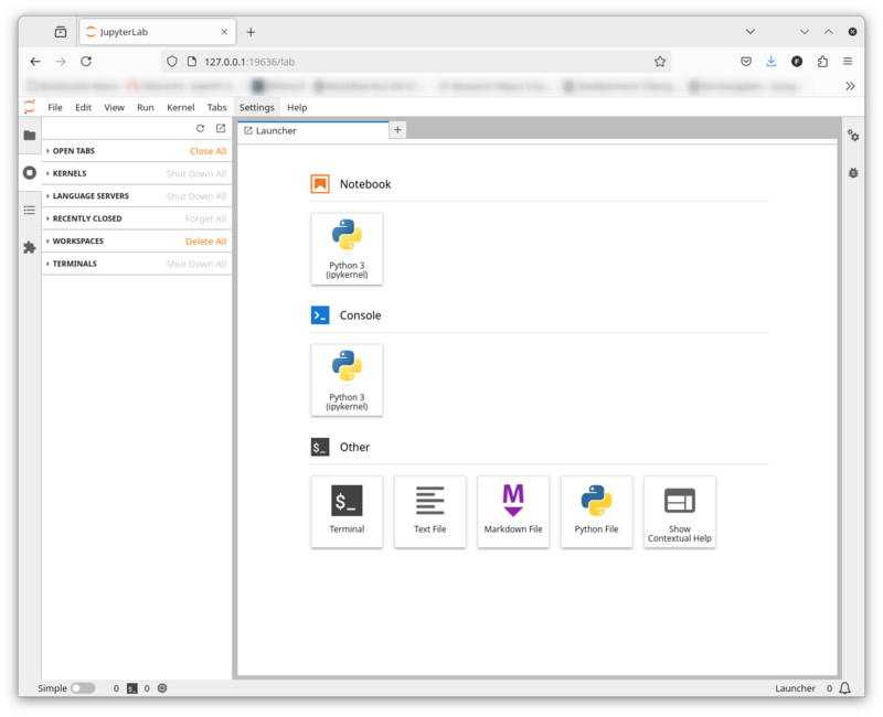 Binac jupyterlab browser lab.png