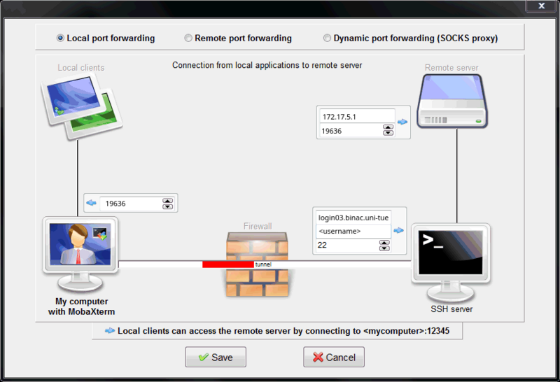 Binac jupyterlab mobaxterm.png